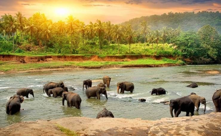 Thekkady Package from Madurai - GR Tours & Travels