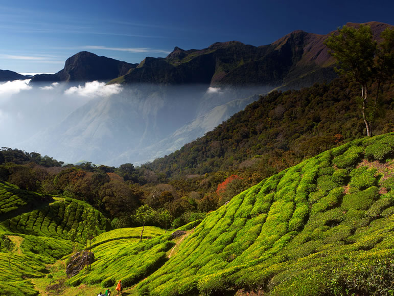 uxury Tours in Madurai, Budget Tours Madurai