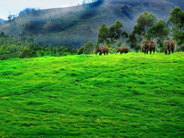 uxury Tours in Madurai, Budget Tours Madurai