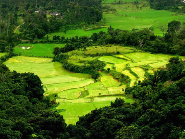 uxury Tours in Madurai, Budget Tours Madurai