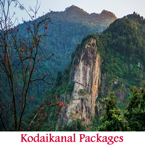 uxury Tours in Madurai, Budget Tours Madurai