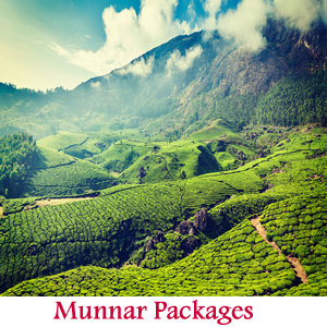 uxury Tours in Madurai, Budget Tours Madurai