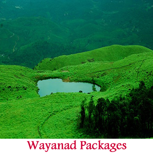 uxury Tours in Madurai, Budget Tours Madurai